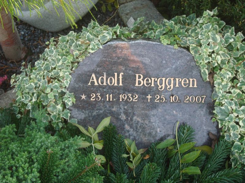 Adolf Berggren.JPG